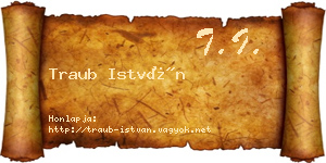 Traub István névjegykártya